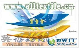 供應滌綸針織尼龍復合面料 尼龍針織尼龍復合面料_紡織、皮革_世界工廠網中國產品信息庫